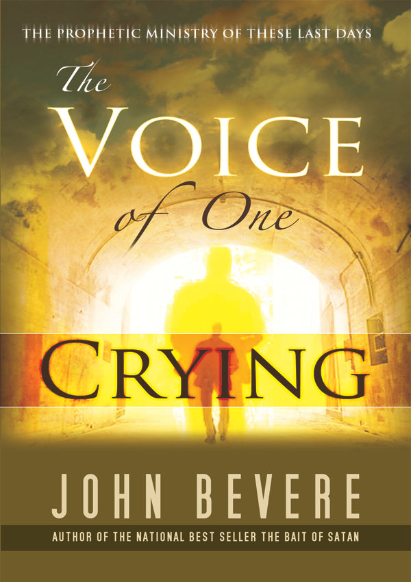 The Voice of One Crying eBook