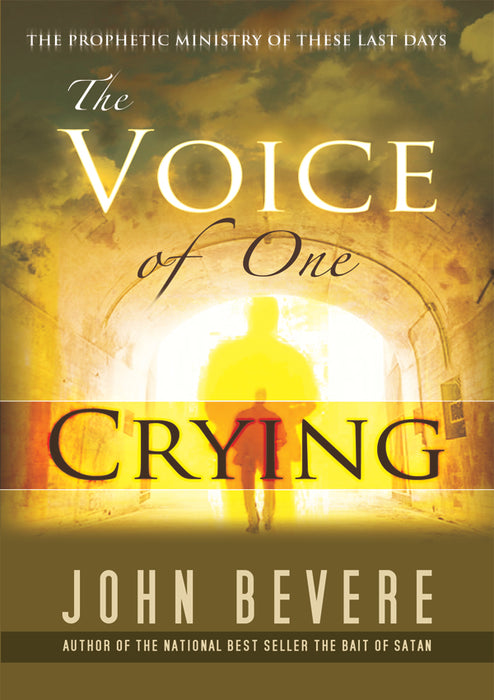The Voice of One Crying eBook