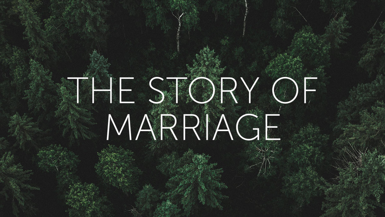 The Story of Marriage Course